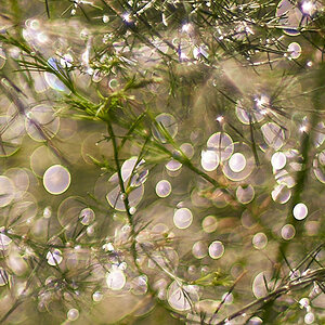 DSC8854
