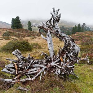 IMG6542 01