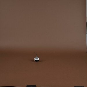 Katzen BKH 2015 37250 Set
