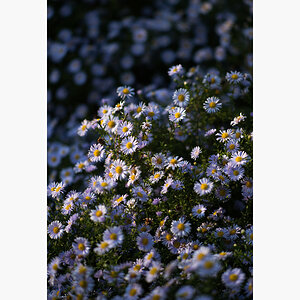 Oktoberpark4