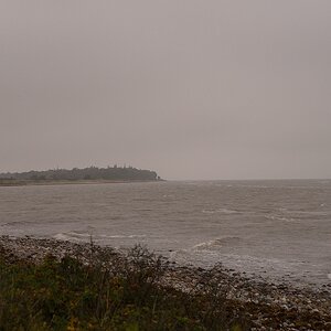 KR DSC 4305