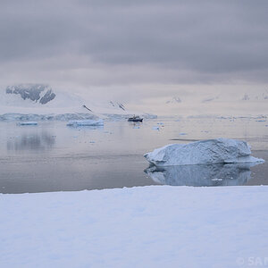 040 DSC5147