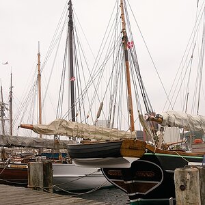 KR DSC 4251