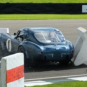 DSC 4224
