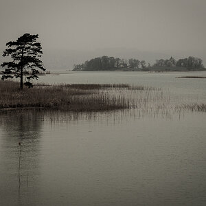 20140405 DSC3068