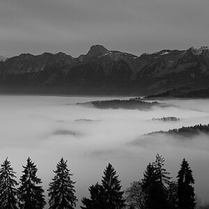 20141130 DSC7398 Bearbeitet