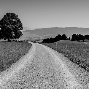 20150829 DSC6548