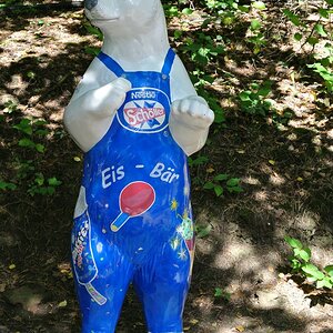 Eisbär