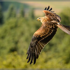 20150822 9549 [NIKON D4] 300 mm,1 1250 Sek. bei ƒ   4,0