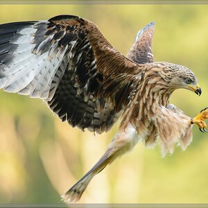 20150822 9606 [NIKON D7100] 300 mm,1 800 Sek. bei ƒ   4,0