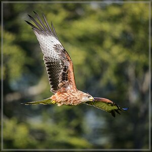 20150822 9638 [NIKON D4] 300 mm,1 1250 Sek. bei ƒ   4,0