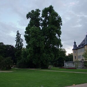 Schloß Dyck (11)