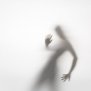 D80 4644 web