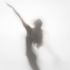 D80 4623 web