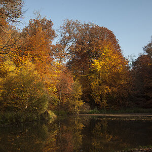 herbst 1