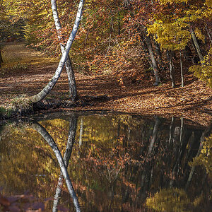 herbst 2