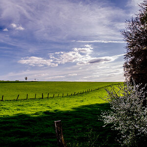 Landschaft