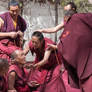 comp Tibet (57 von 1)