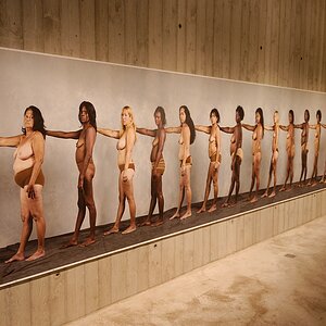 Utopia II
The Line - Enrique Rottenberg