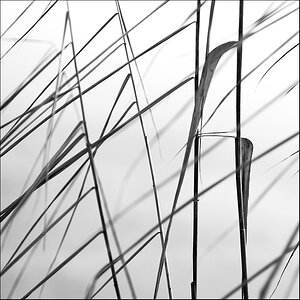 File 006