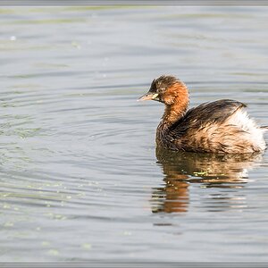 20150920 7420 [NIKON D810] 500 mm,1 800 Sek. bei ƒ   5,0