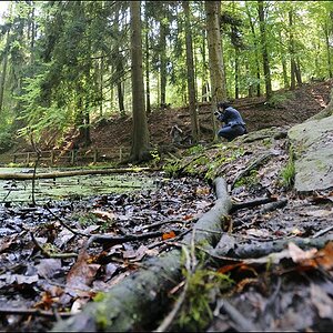 NF-F Treffen Märchensee o5/2oo9 #03