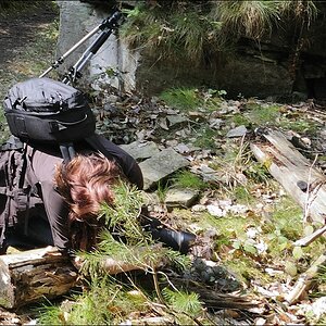 NF-F Treffen Märchensee o5/2oo9 #o7