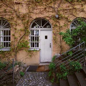 DSC 3365