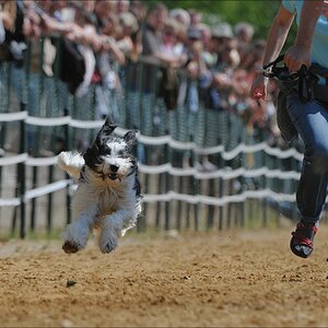 comp NWR Spaßrennen 2699