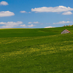 20080507 D2X 2569