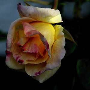 20090524 003