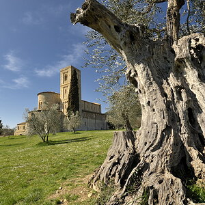 San Antimo 20090318 104841