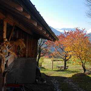 Bauernhof Südtirol