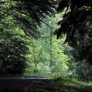 licht05