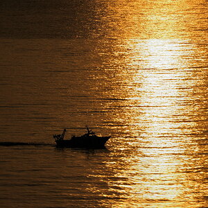 Morgenlicht