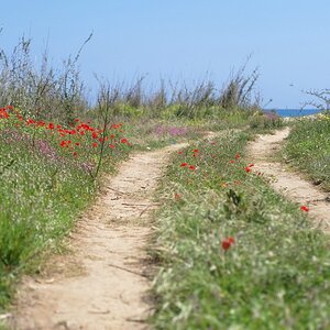 weg zum strand