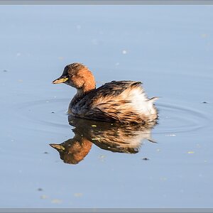 20150926 9989 [NIKON D4] 700 mm,1 800 Sek. bei ƒ   6,3