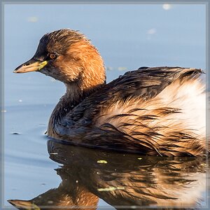20150926 9989 [NIKON D4] 700 mm,1 800 Sek. bei ƒ   6,3 2