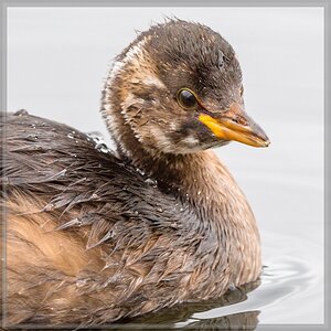 20150920 7328 [NIKON D810] 500 mm,1 500 Sek. bei ƒ   4,0 2