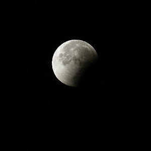 DSC9596 DxO NFF