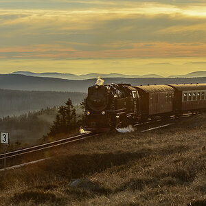 D716799