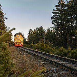 D716824