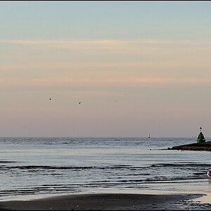 comp DSC 3567 2