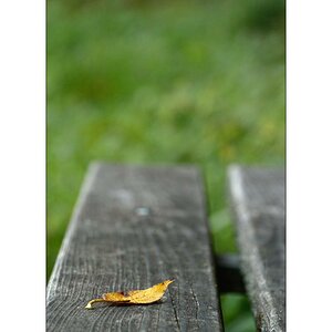 HerbstDSC 6476