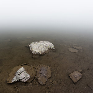 IMG6446 01