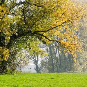 goldener Oktober