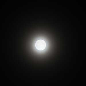 DSC 1536