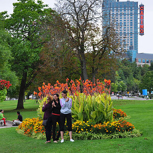 DSC 4920 Fotograf Fotogr