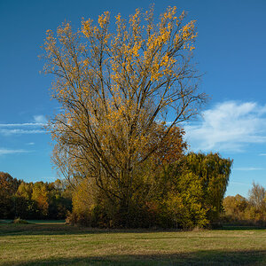 Herbst 2015
Marienbergpark
Nürnberg