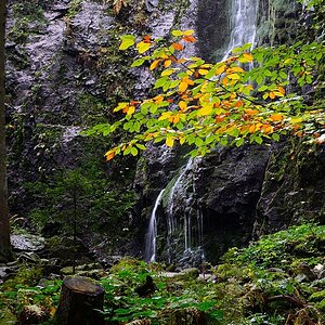 Burgbachwasserfall 2015 16101